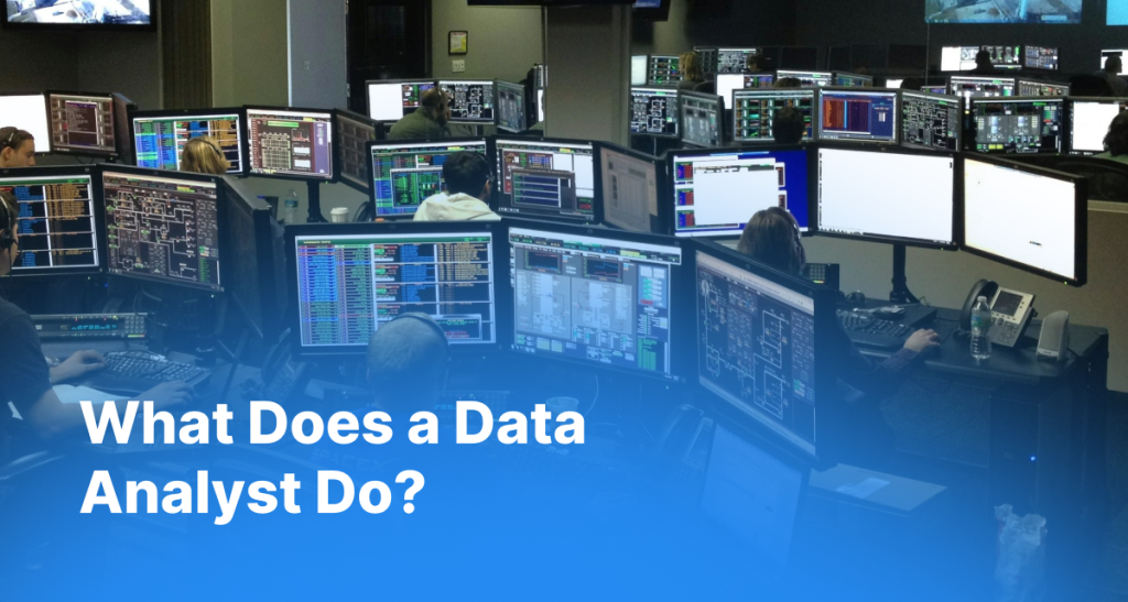 What Does a Data Analyst Do?