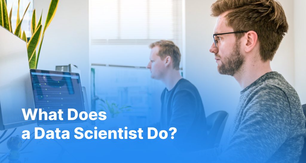What Does a Data Scientist Do?