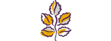 dteCompanyLogo
